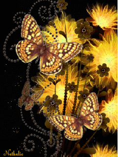 Золотые бабочки. Самые красивые заставки на телефон.