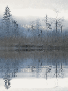 Лесные озера. Красивые картинки на заставку телефона самсунг.